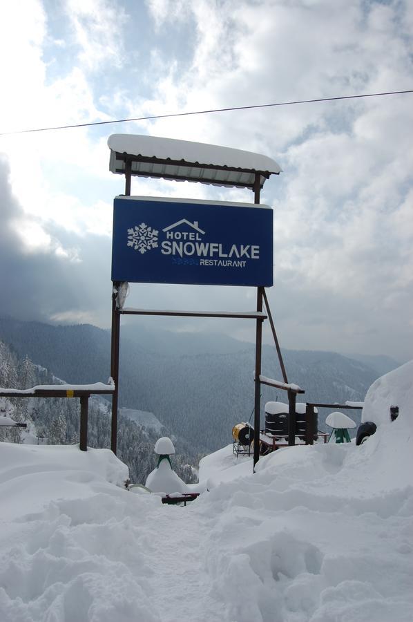 Hotel Snowflake Narkanda Ngoại thất bức ảnh